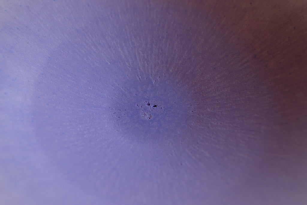 馬場匠 / 中浅鉢 20cm パープル