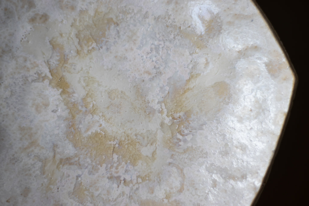 鈴木圭太 / 4寸ナナカク皿(しろ)