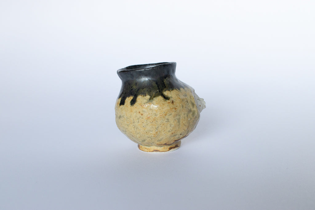 加賀美円 / 突き抜けたねこの一輪挿し