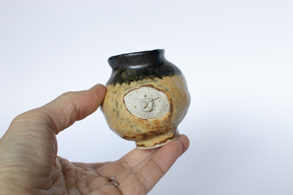 加賀美円 / 突き抜けたねこの一輪挿し