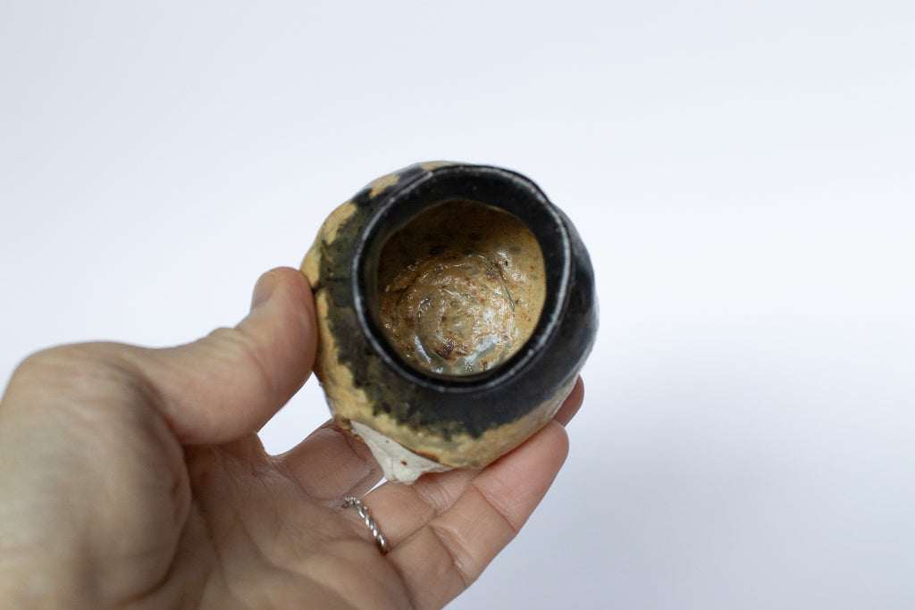 加賀美円 / 突き抜けたねこの一輪挿し