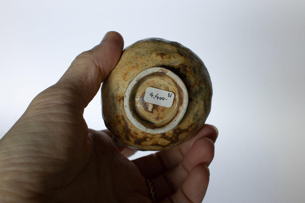 加賀美円 / 突き抜けたねこの一輪挿し