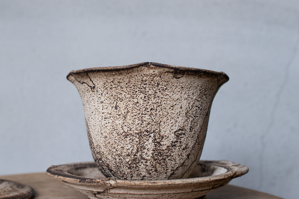 Kazuma Yamamoto / Shirodo Aya Mug