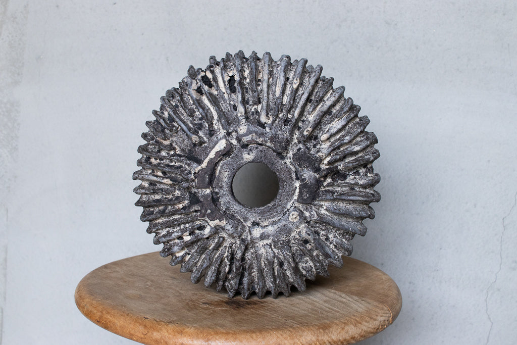 栁川晶子 / 植木鉢 大