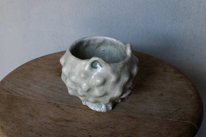 Kazuma Yamamoto / Shirodo Aya Mug